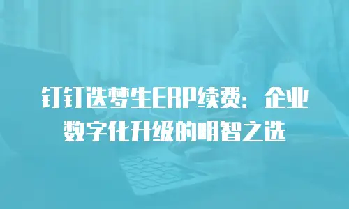 钉钉迭梦生ERP续费：企业数字化升级的明智之选