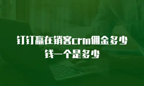 钉钉赢在销客crm佣金多少钱一个是多少