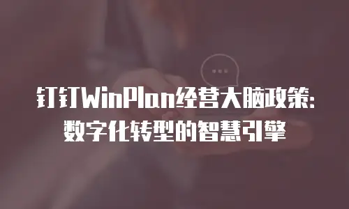钉钉WinPlan经营大脑政策：数字化转型的智慧引擎