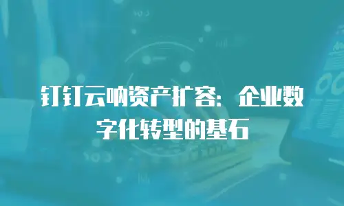 钉钉云呐资产扩容：企业数字化转型的基石