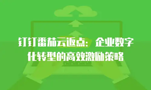 钉钉番茄云返点：企业数字化转型的高效激励策略