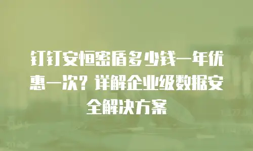 钉钉安恒密盾多少钱一年优惠一次？详解企业级数据安全解决方案