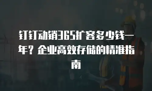 钉钉动销365扩容多少钱一年？企业高效存储的精准指南