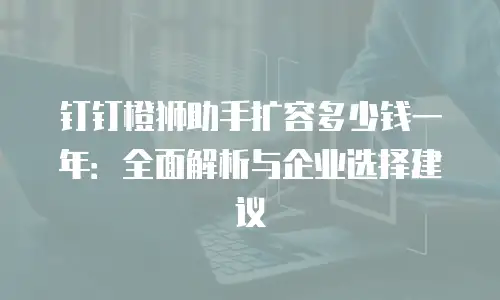 钉钉橙狮助手扩容多少钱一年：全面解析与企业选择建议