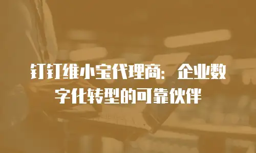 钉钉维小宝代理商：企业数字化转型的可靠伙伴