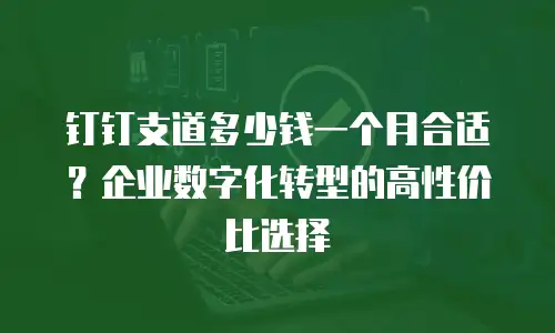 钉钉支道多少钱一个月合适？企业数字化转型的高性价比选择