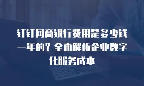 钉钉网商银行费用是多少钱一年的？全面解析企业数字化服务成本