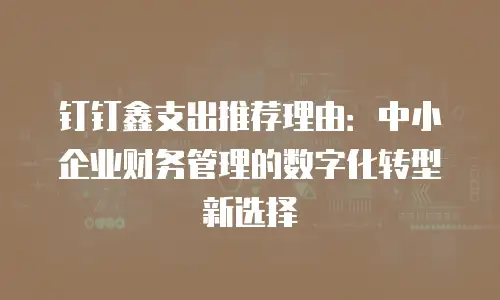 钉钉鑫支出推荐理由：中小企业财务管理的数字化转型新选择