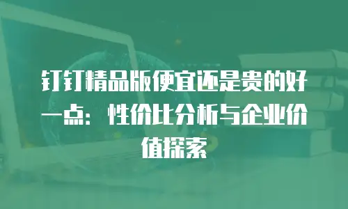钉钉精品版便宜还是贵的好一点：性价比分析与企业价值探索
