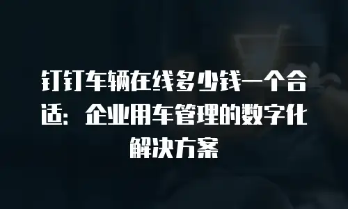 钉钉车辆在线多少钱一个合适：企业用车管理的数字化解决方案
