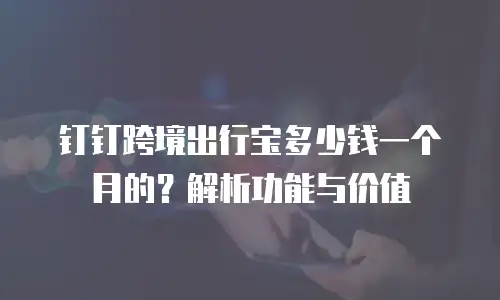 钉钉跨境出行宝多少钱一个月的？解析功能与价值