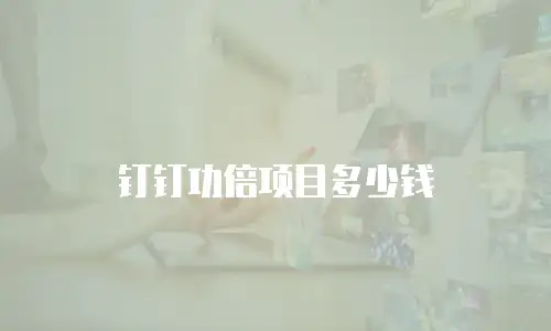 钉钉功倍项目多少钱