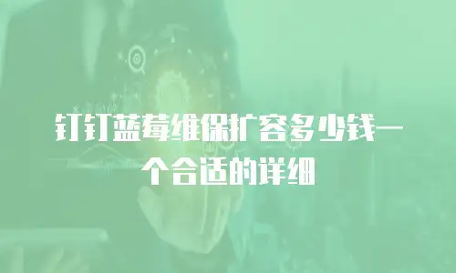 钉钉蓝莓维保扩容多少钱一个合适的详细