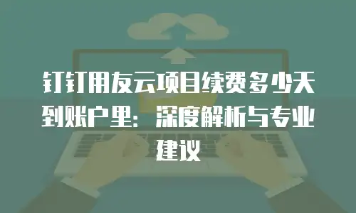 钉钉用友云项目续费多少天到账户里：深度解析与专业建议
