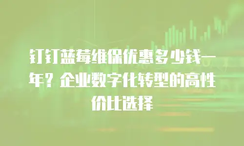 钉钉蓝莓维保优惠多少钱一年？企业数字化转型的高性价比选择