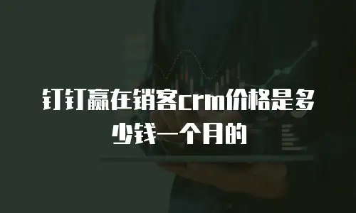 钉钉赢在销客crm价格是多少钱一个月的