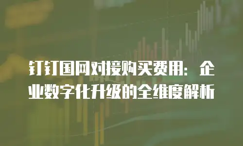 钉钉国网对接购买费用：企业数字化升级的全维度解析