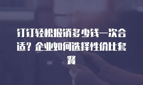 钉钉轻松报销多少钱一次合适？企业如何选择性价比套餐