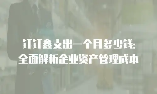 钉钉鑫支出一个月多少钱：全面解析企业资产管理成本