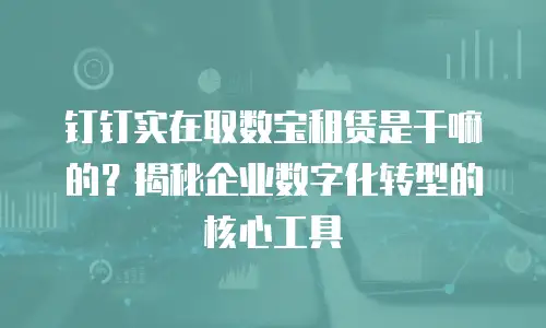 钉钉实在取数宝租赁是干嘛的？揭秘企业数字化转型的核心工具