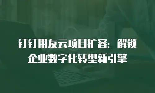 钉钉用友云项目扩容：解锁企业数字化转型新引擎