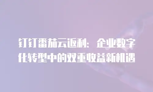 钉钉番茄云返利：企业数字化转型中的双重收益新机遇