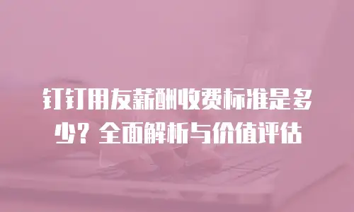 钉钉用友薪酬收费标准是多少？全面解析与价值评估