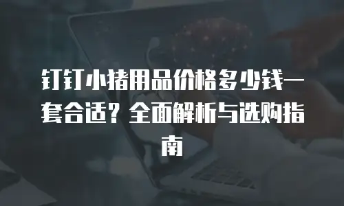 钉钉小猪用品价格多少钱一套合适？全面解析与选购指南