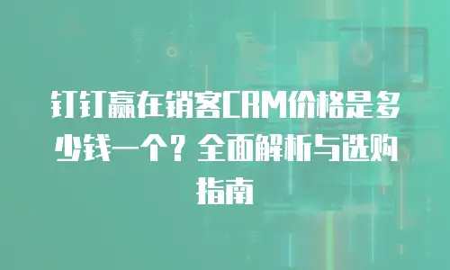 钉钉赢在销客CRM价格是多少钱一个？全面解析与选购指南