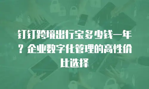 钉钉跨境出行宝多少钱一年？企业数字化管理的高性价比选择
