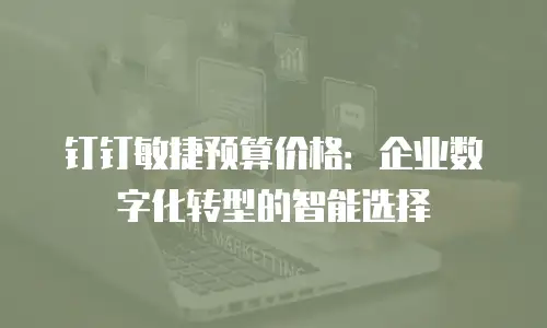 钉钉敏捷预算价格：企业数字化转型的智能选择
