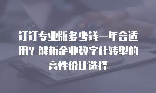 钉钉专业版多少钱一年合适用？解析企业数字化转型的高性价比选择