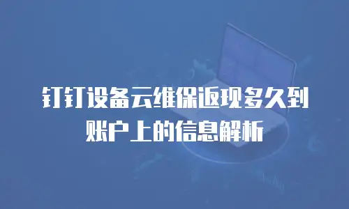 钉钉设备云维保返现多久到账户上的信息解析