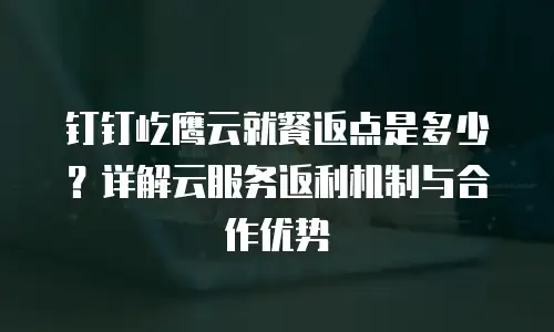 钉钉屹鹰云就餐返点是多少？详解云服务返利机制与合作优势