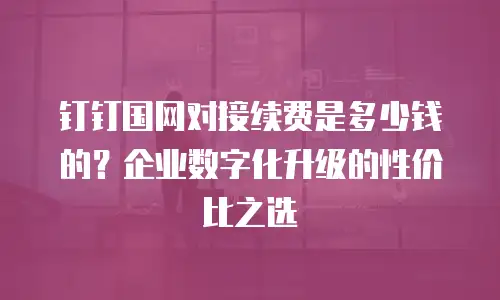 钉钉国网对接续费是多少钱的？企业数字化升级的性价比之选