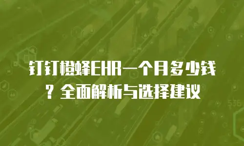 钉钉橙蜂EHR一个月多少钱？全面解析与选择建议