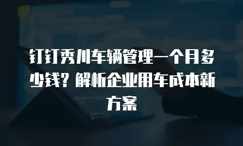 钉钉秀川车辆管理一个月多少钱？解析企业用车成本新方案