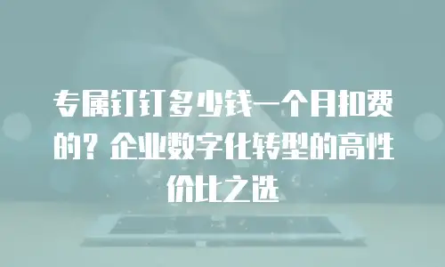 专属钉钉多少钱一个月扣费的？企业数字化转型的高性价比之选