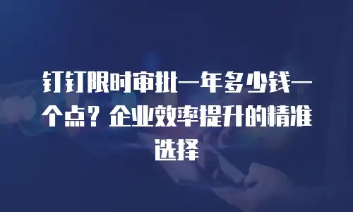 钉钉限时审批一年多少钱一个点？企业效率提升的精准选择