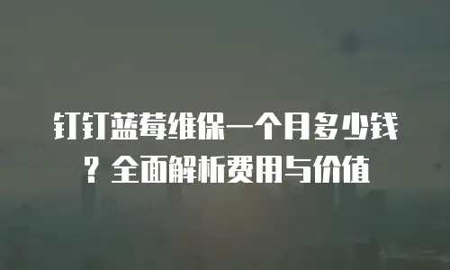钉钉蓝莓维保一个月多少钱？全面解析费用与价值