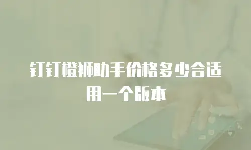钉钉橙狮助手价格多少合适用一个版本