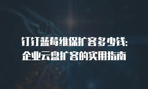 钉钉蓝莓维保扩容多少钱：企业云盘扩容的实用指南