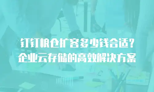 钉钉粮仓扩容多少钱合适？企业云存储的高效解决方案