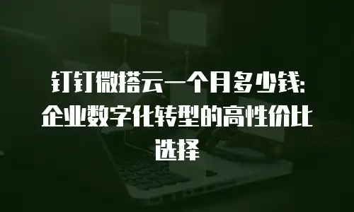 钉钉微搭云一个月多少钱：企业数字化转型的高性价比选择