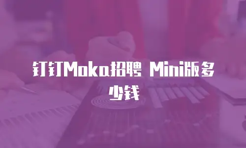 钉钉Moka招聘 Mini版多少钱