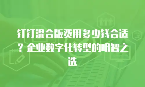 钉钉混合版费用多少钱合适？企业数字化转型的明智之选