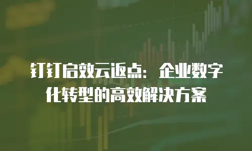 钉钉启效云返点：企业数字化转型的高效解决方案