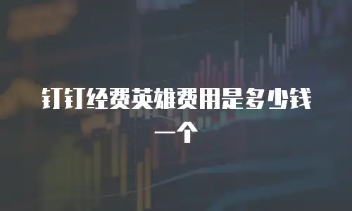 钉钉经费英雄费用是多少钱一个