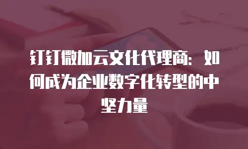 钉钉微加云文化代理商：如何成为企业数字化转型的中坚力量