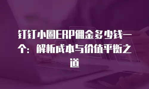 钉钉小圈ERP佣金多少钱一个：解析成本与价值平衡之道